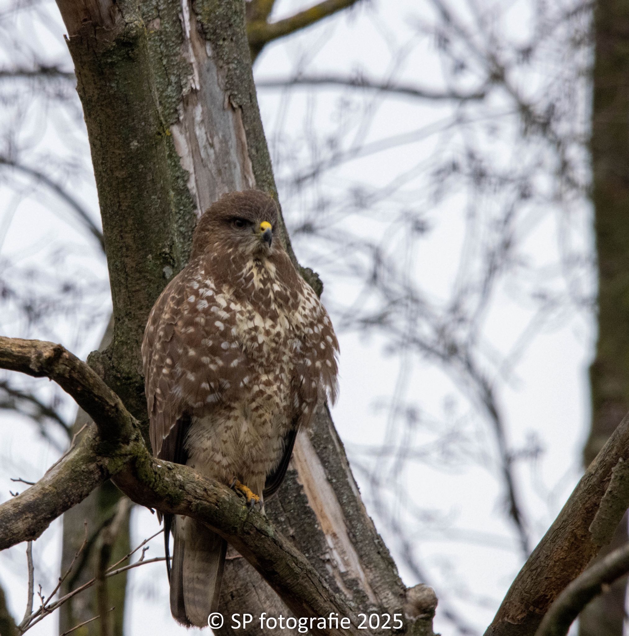 WhatsApp Image 2026-01-07 at 12.16.51