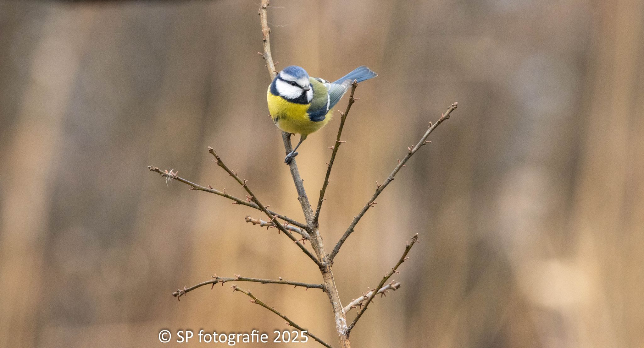 WhatsApp Image 2026-01-07 at 12.16.52 (1)