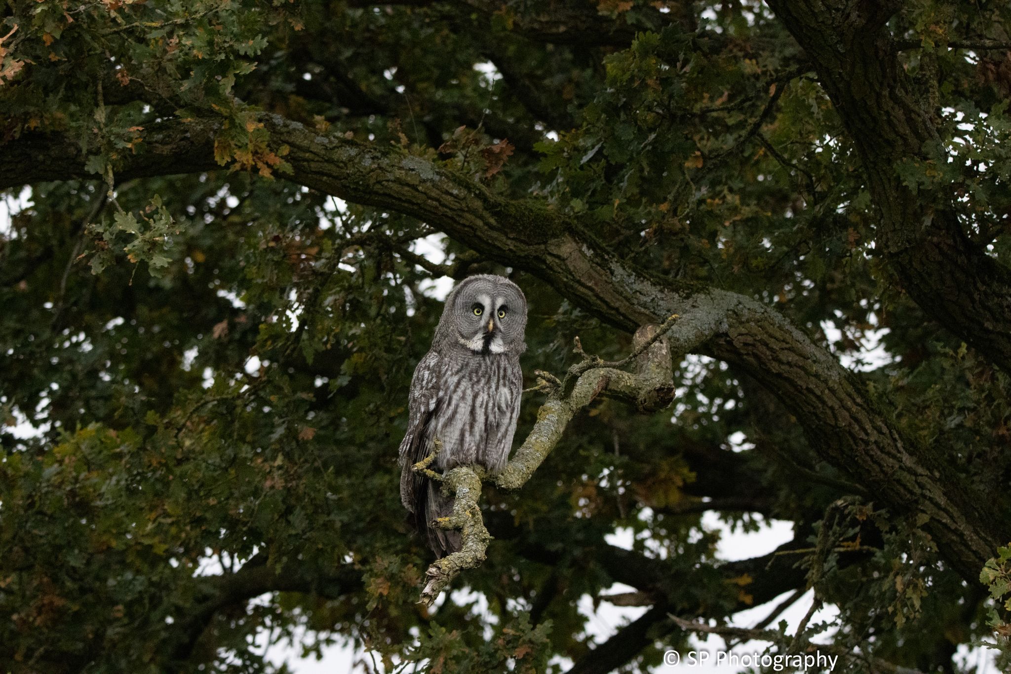 WhatsApp Image 2026-01-07 at 12.16.52 (2)